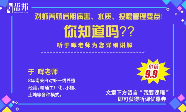 亩产5500斤，亩纯利润在7万元！这里大棚对虾，究竟是怎么养的？