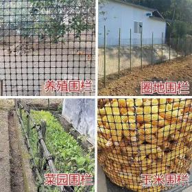 新型养殖围栏网，专为鸡鸭鹅设计的塑料网