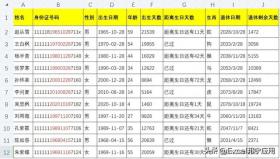 身份证号码提取 性别 出生日期 年龄 出生天数 距离生日天数 生肖 退休日