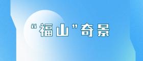 张韶涵、邓紫棋燃爆福建冬日