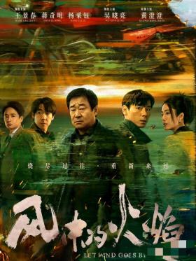 看完4集的《风中的火焰》，只想说蒋奇明的演技绝了，这剧追定了