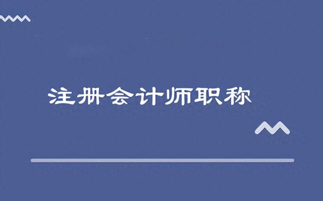 2024年注会CPA教材PDF电子版及《税法》知识点-上篇