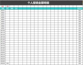 个人报销金额明细